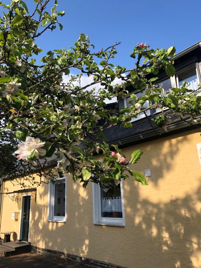 Am Apfelbaum, Ein Ferienhaus Zwischen Rhein Und Mosel Kastellaun Zewnętrze zdjęcie