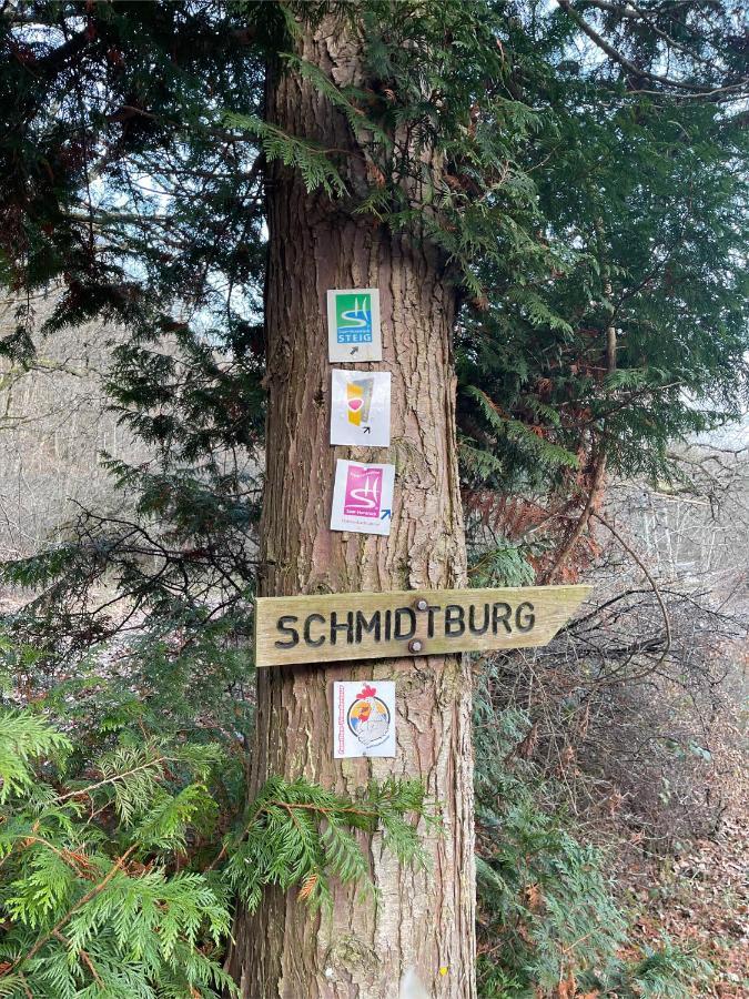 Am Apfelbaum, Ein Ferienhaus Zwischen Rhein Und Mosel Kastellaun Zewnętrze zdjęcie