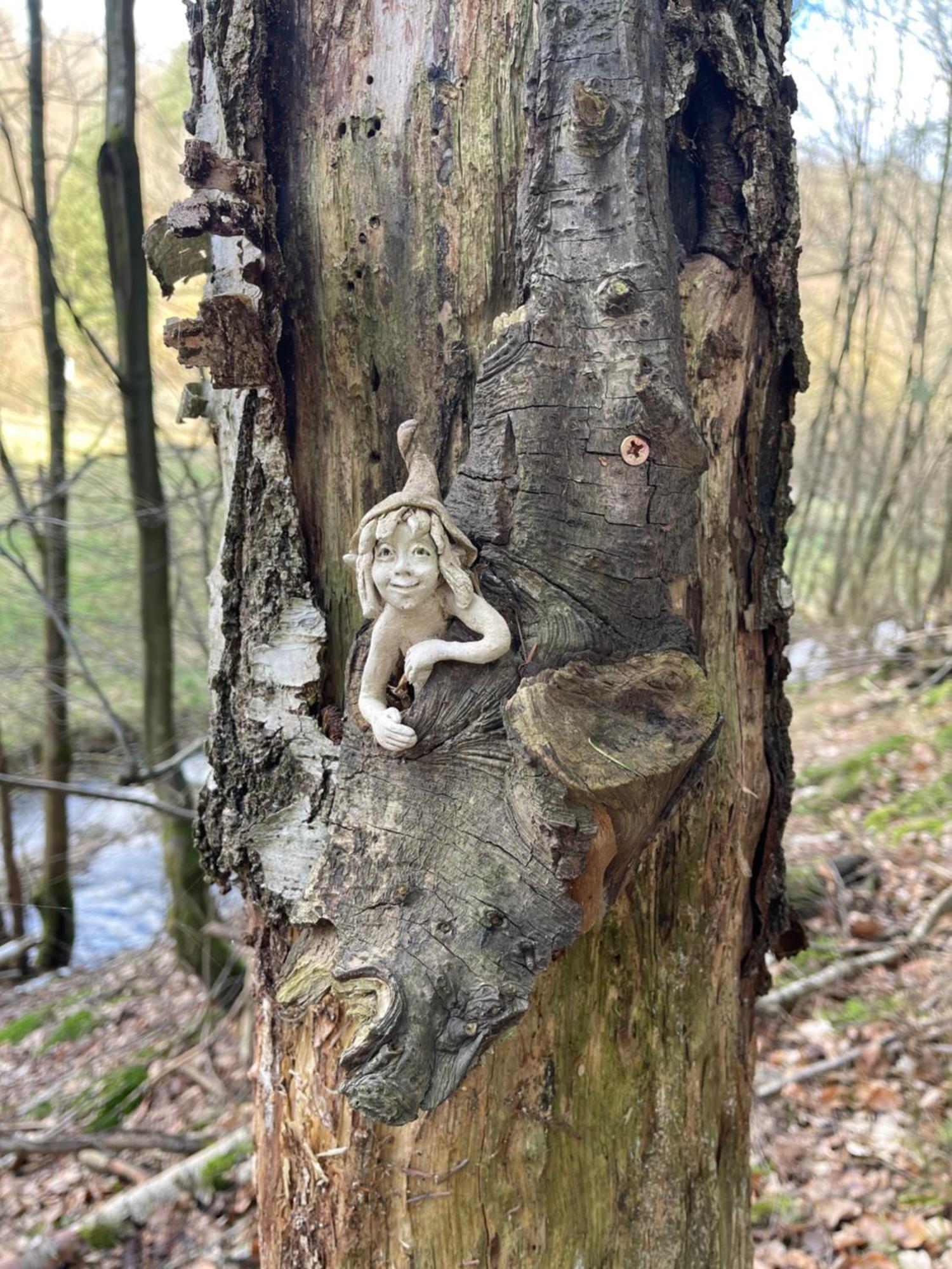 Am Apfelbaum, Ein Ferienhaus Zwischen Rhein Und Mosel Kastellaun Zewnętrze zdjęcie