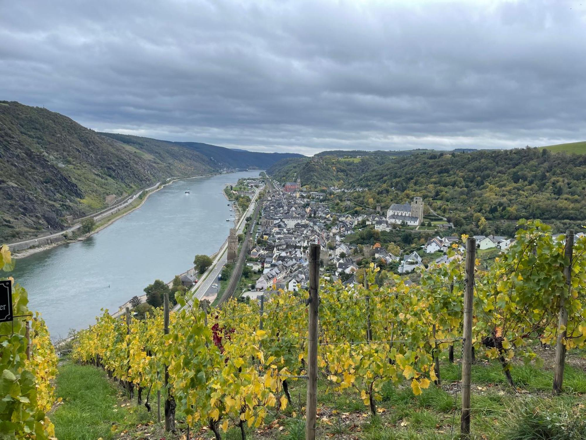 Am Apfelbaum, Ein Ferienhaus Zwischen Rhein Und Mosel Kastellaun Zewnętrze zdjęcie